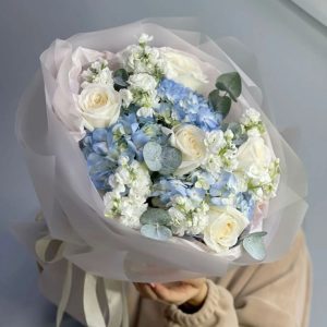 Northern Lights Harmony