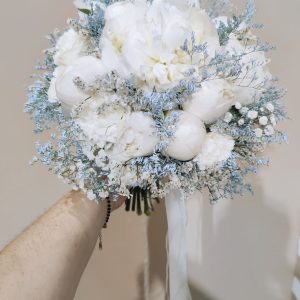 Winter Solstice Bloom